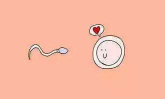 姐们们,孕早期甲减真的会影响胎儿!,私人代孕,代孕公司是正规的吗